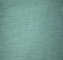 Eucalyptus