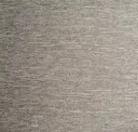 Sonic Silver