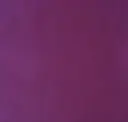 Violets R Blue
