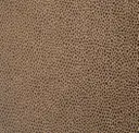 Sand Storm