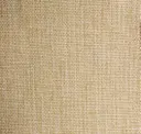 Blonde Silk