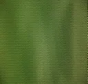 Grasslands