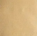 Reed