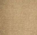 Fossil Stone