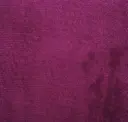Pretty In Purple