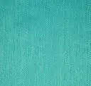 Poseidon