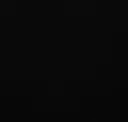 Iron