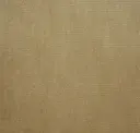 Honey Tan
