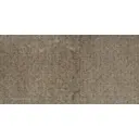 Grey Foussana