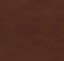 Burnt Sienna