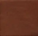 Zanzibar Cinnamon