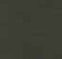 Loden