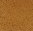 Moccasin