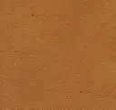 Moccasin
