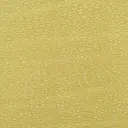 Yellow Goldenrod