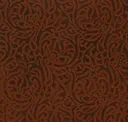 Zanzibar Cinnamon