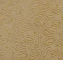 Sesame Seed
