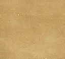 Golden Amber
