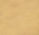 Japan Ivory