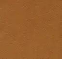 Moccasin