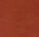 Indian Red