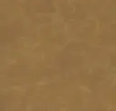 Sunbaked Sand