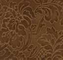 Biscotto