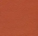 Coral Rush