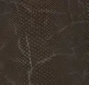Bellini