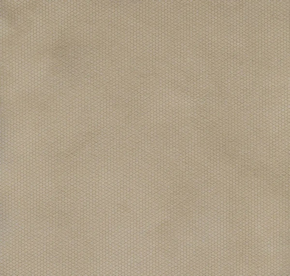 Main