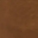 Cocoa
