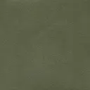 Shamrock