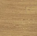 Antique Lace