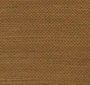 Golden Raffia