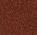 Zanzibar Cinnamon