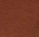 Zanzibar Cinnamon