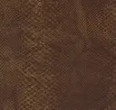 Clove Spice