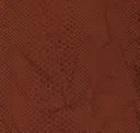 Zanzibar Cinnamon