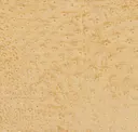 Vanilla Bean