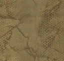 Cardamom