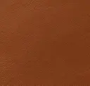 Cinnamon