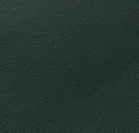 Loden