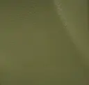 Picholine