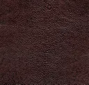 Molten