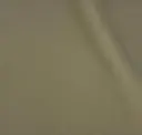 Celadon