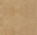 Rye