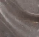 Elefante