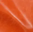 Mandarino
