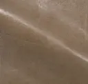 Tortora