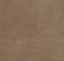 Cannella